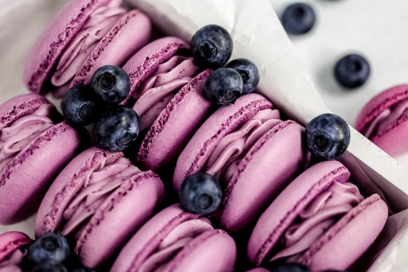 Blueberry Cheesecake Macaroon