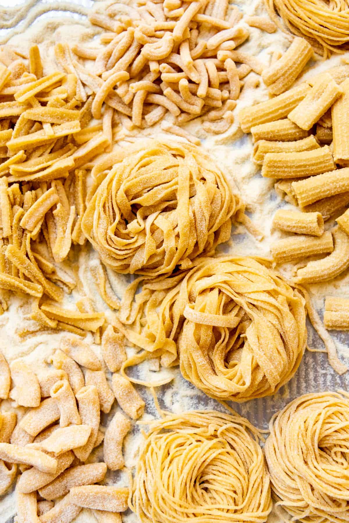 Fresh Pasta