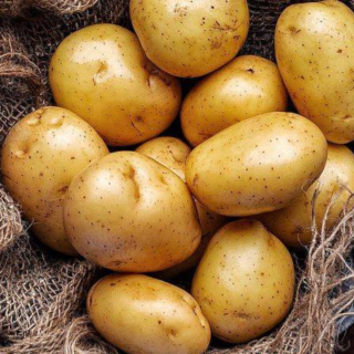 Your Potatoes Can Stay Fresh for Months – Here are the Game-Changing Storage Tips