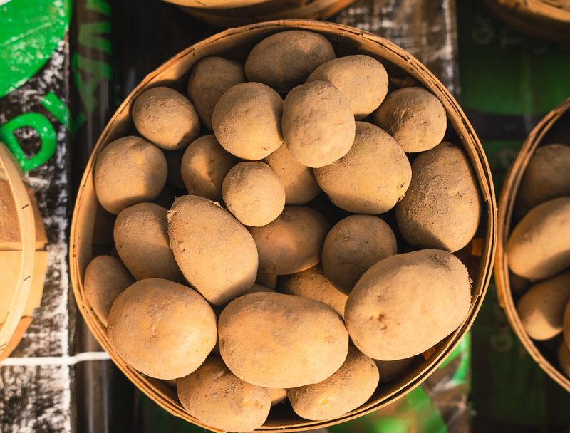 Your Potatoes Can Stay Fresh for Months – Here are the Game-Changing Storage Tips