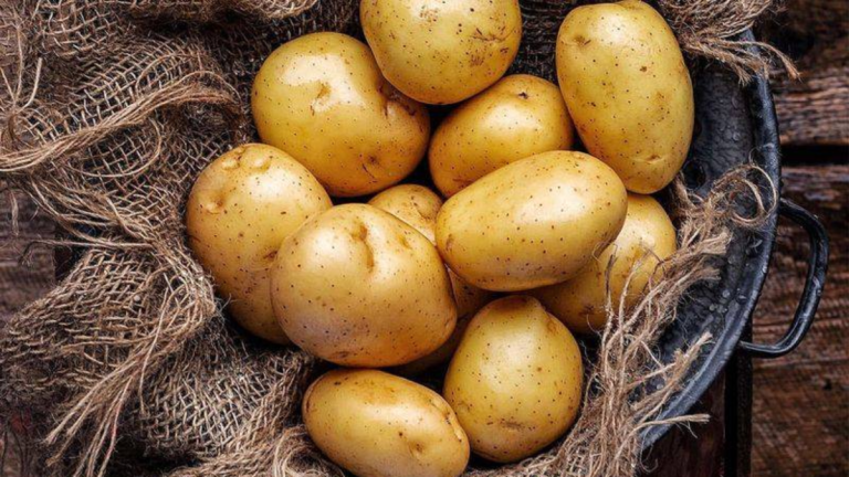 Your Potatoes Can Stay Fresh for Months – Here are the Game-Changing Storage Tips