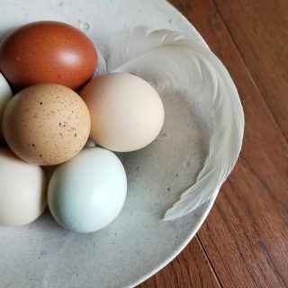 Cracking the Egg Debate: Brown vs. White Eggs and Which One Packs More Health Benefits
