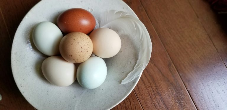 Cracking the Egg Debate: Brown vs. White Eggs and Which One Packs More Health Benefits