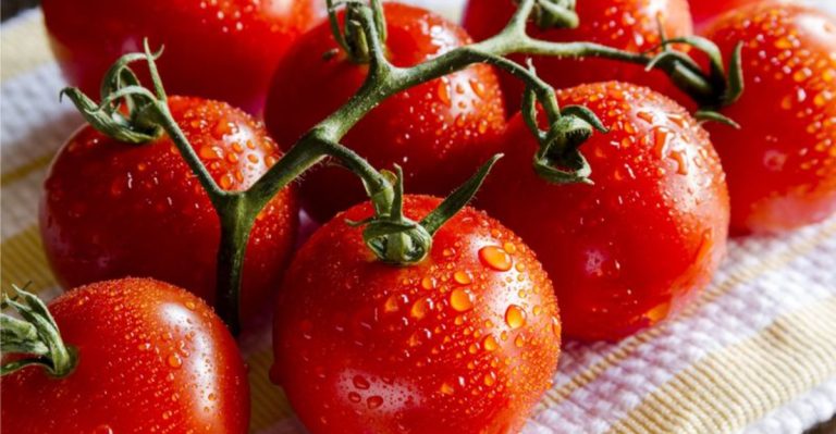 16 Tomatoes So Delicious, You Won’t Believe They’re Real