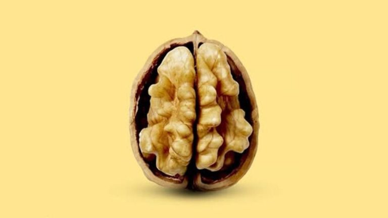 17 Delicious Foods That Support Brain Health and Cognitive Function