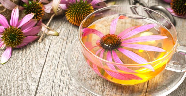 21 Herbal Teas That Promote Better Health and Wellness
