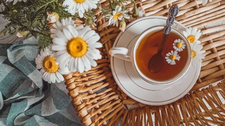 22 Healthy Teas to Add to Your Daily Routine for Long-Term Benefits