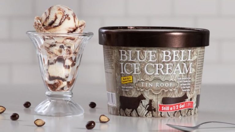 Chill Out with the Top 30 Ice Cream Brands Loved by Taste Buds Everywhere