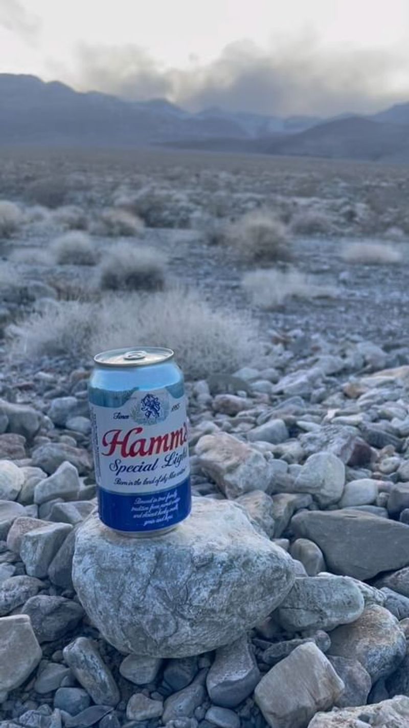 Hamm's Special Light