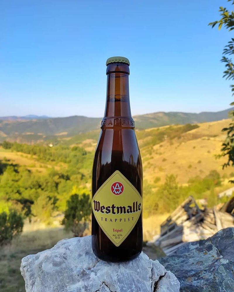 Westmalle Tripel (Belgium)