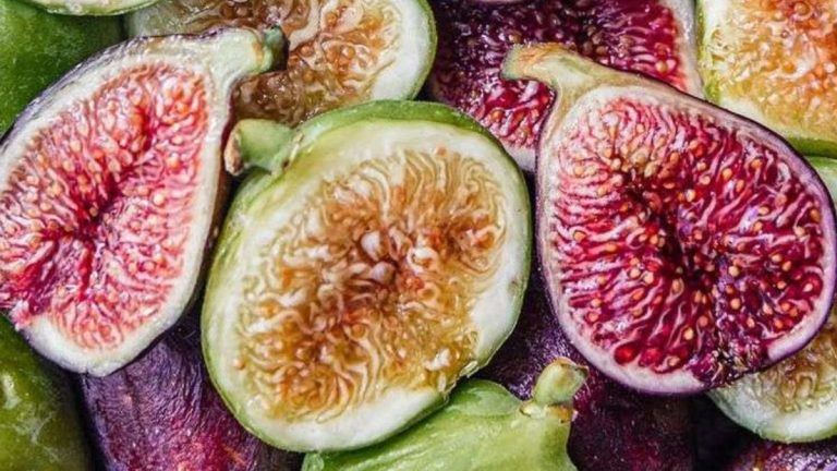 10 Nutritious and Tasty Calcium-Rich Foods Perfect for a Dairy-Free Diet