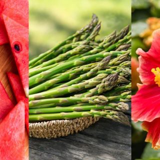10 Everyday Foods and Drinks That Work as Natural Diuretics