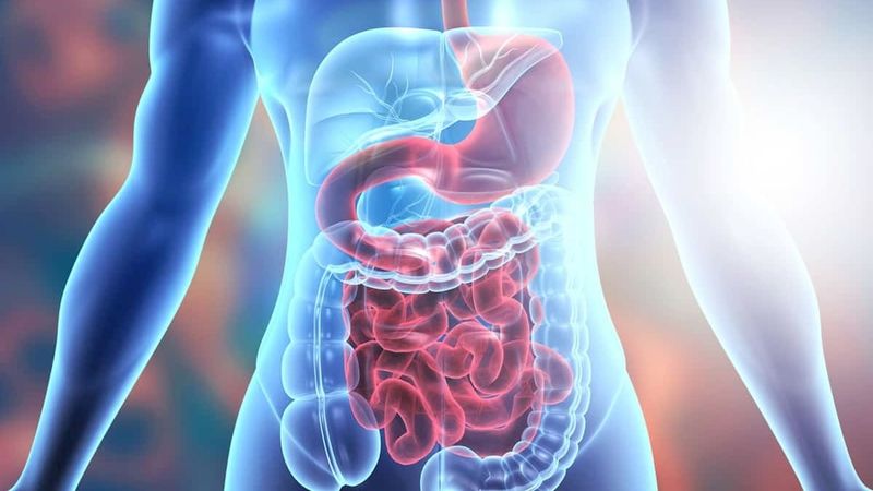 Aids Digestion