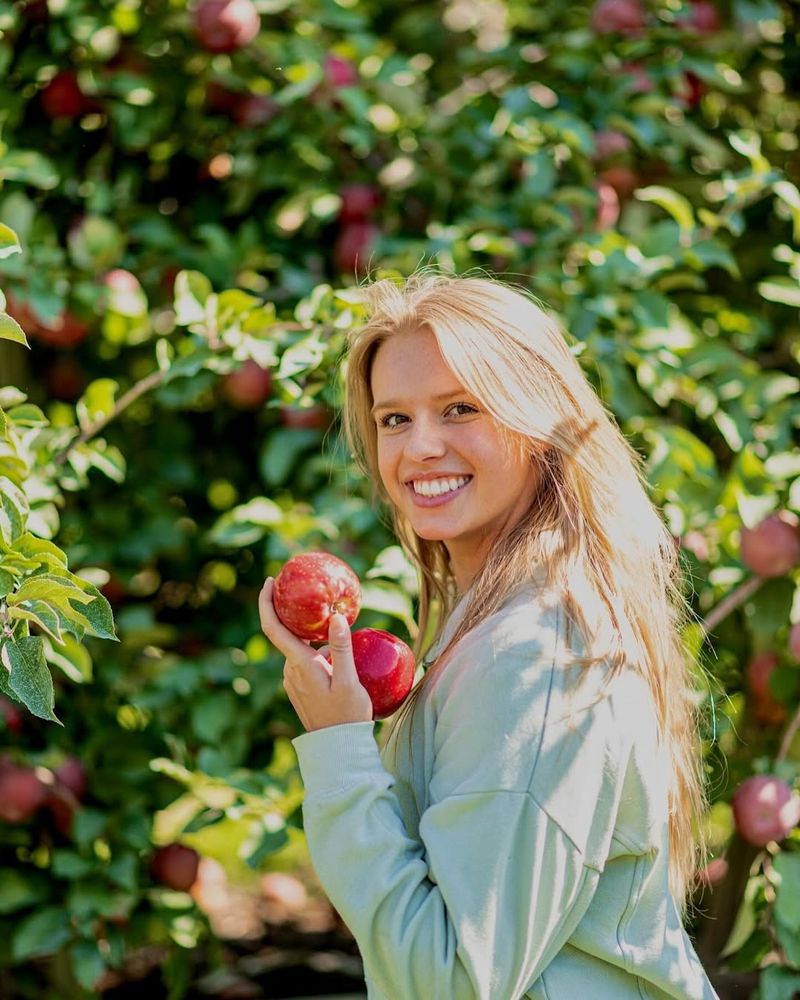 Apples
