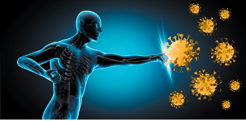 Boosts Immunity
