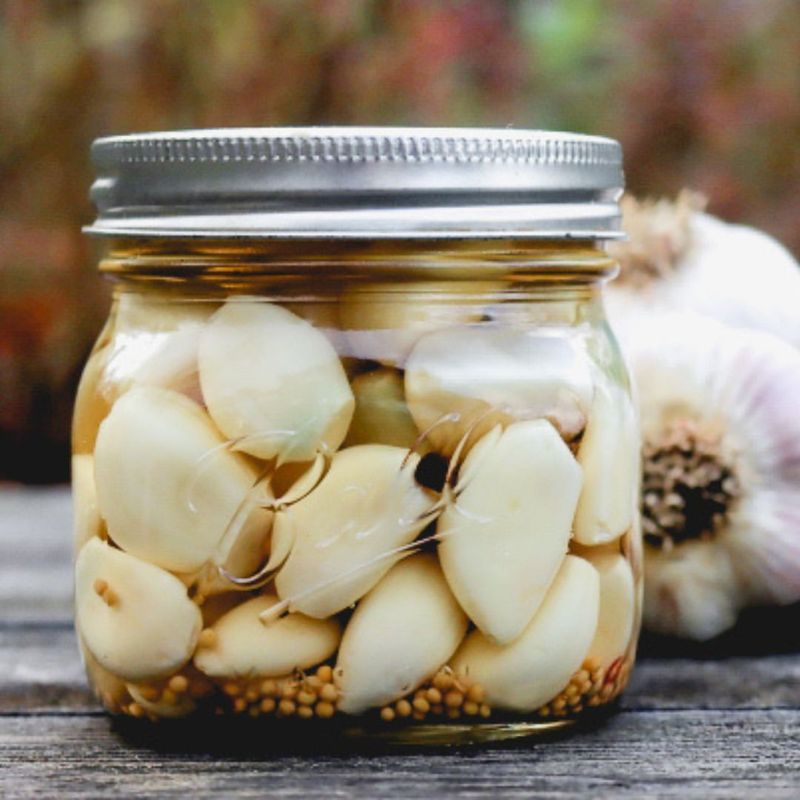 Canned Sauerkraut