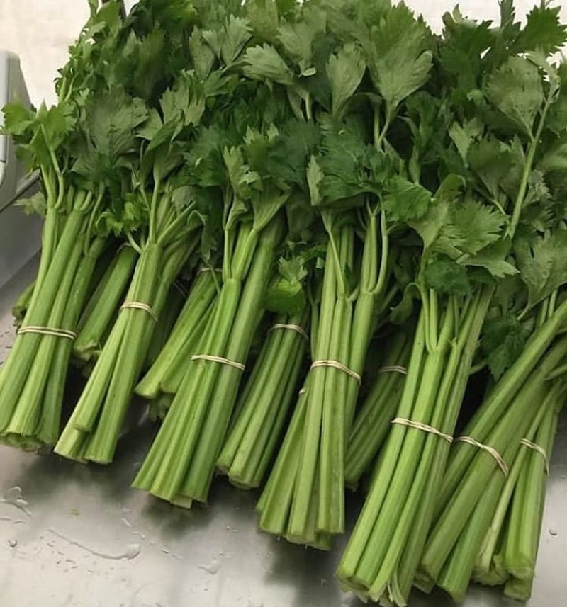 Celery