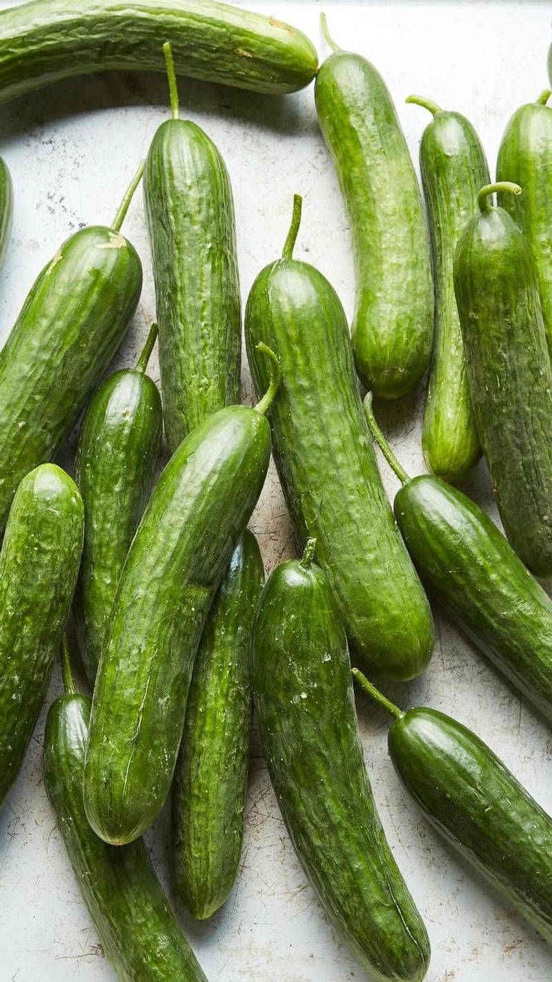 Cucumber