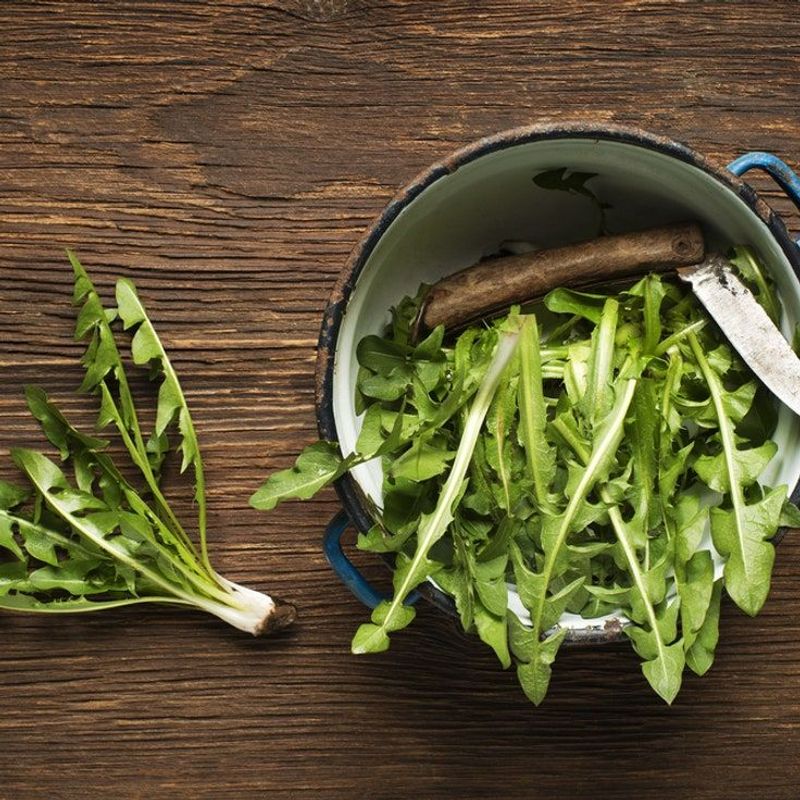 Dandelion Greens