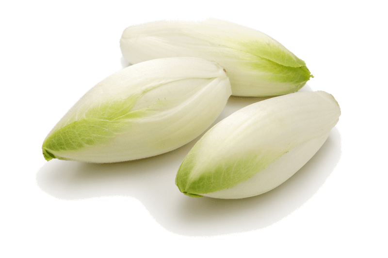 Endive