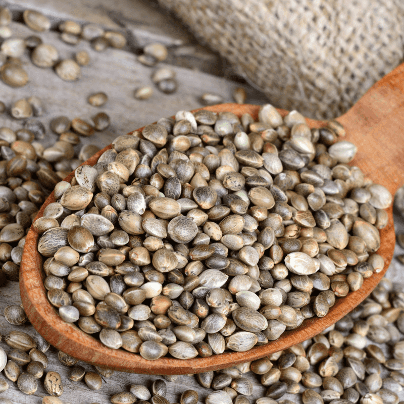 Hemp Seeds