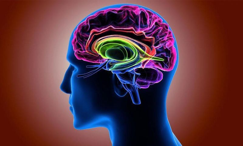 Improve Cognitive Function