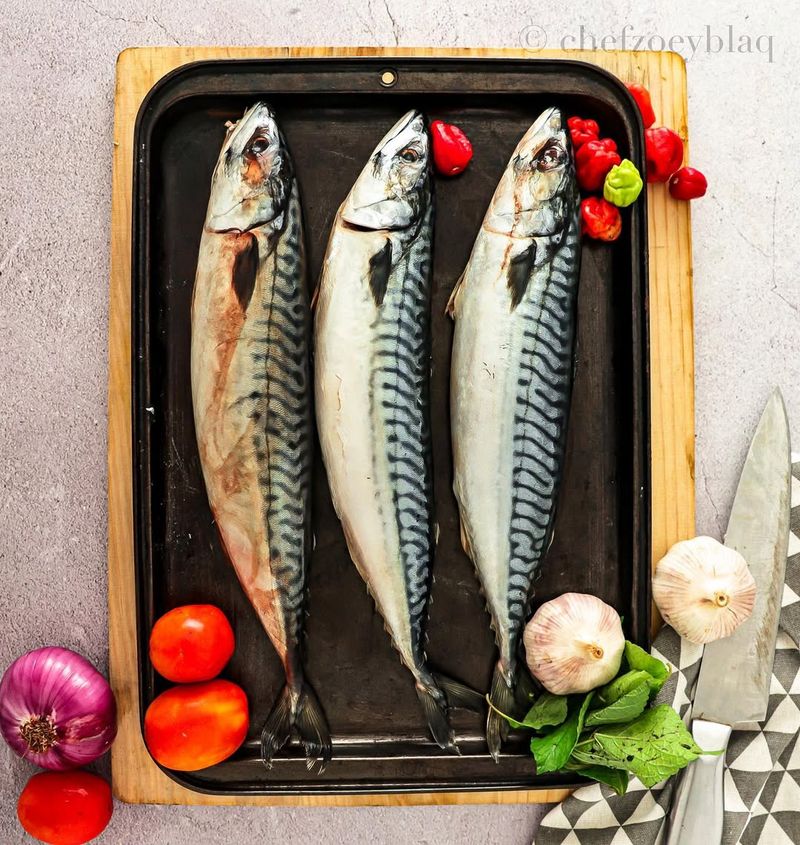 Mackerel