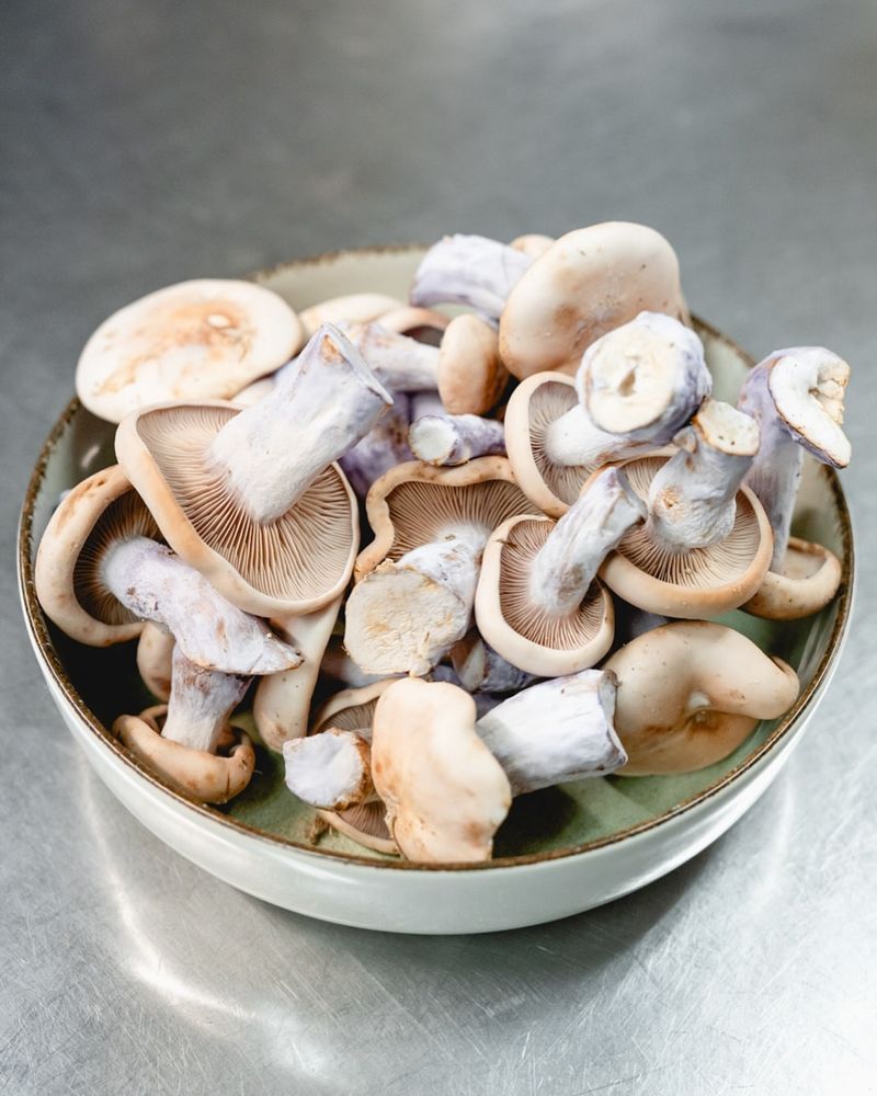 Mushrooms