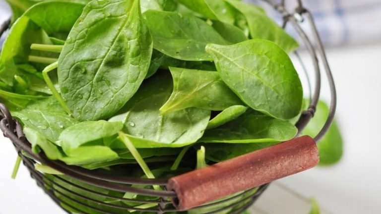 Plant Powered Perfection with 15 Vegan Superfoods to Transform Your Meals