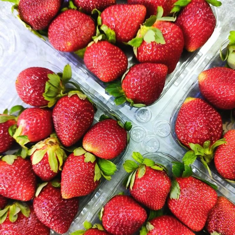 Strawberries – 2.5 Cups Halved