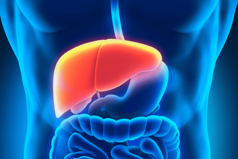 Supports Liver Detoxification