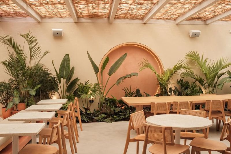 Tropicalia Coffee