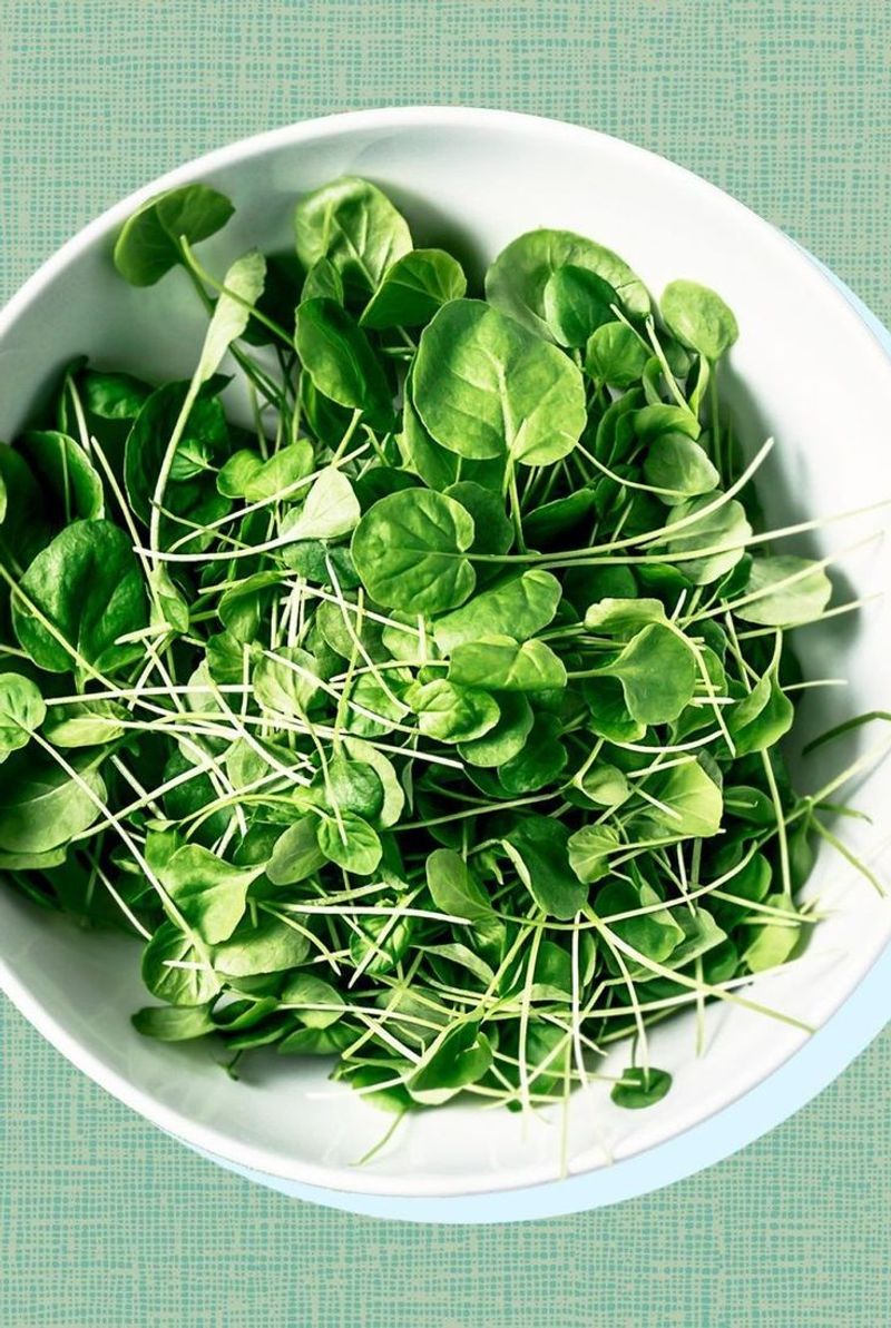 Watercress