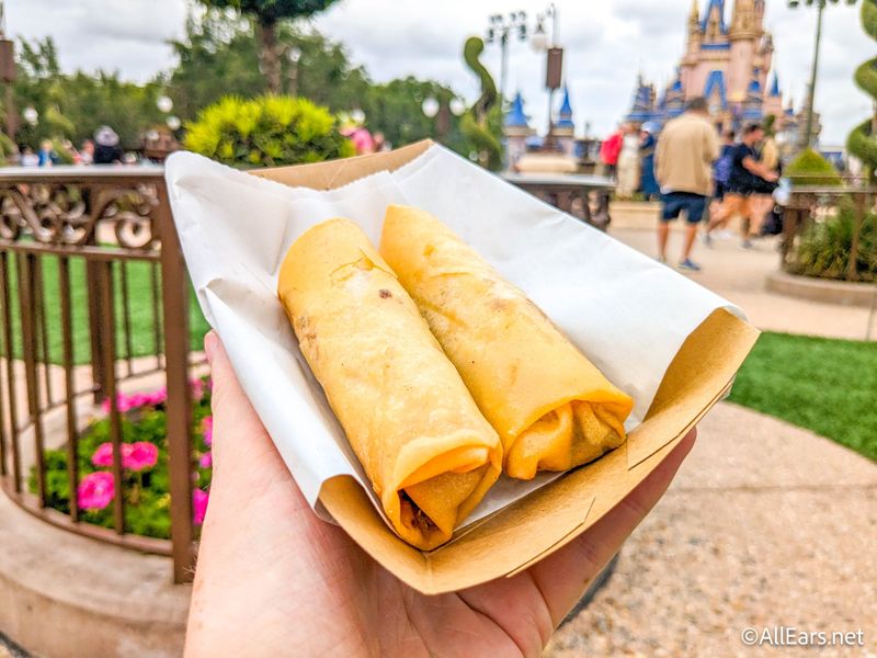Cheeseburger Spring Rolls – Magic Kingdom (USA)