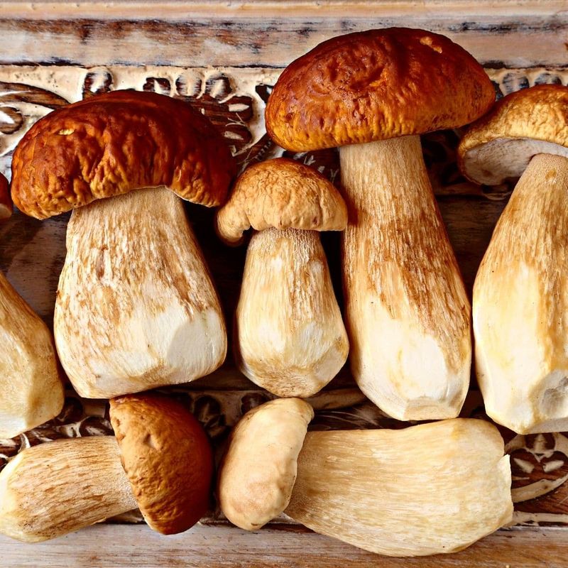 Swap truffles for porcini mushrooms