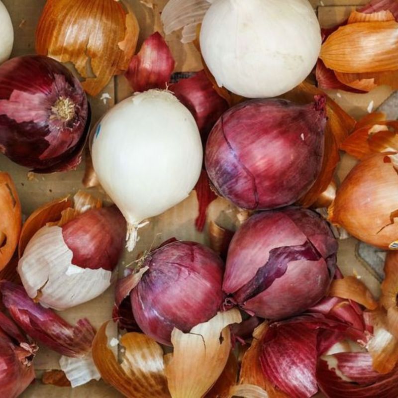 Onions