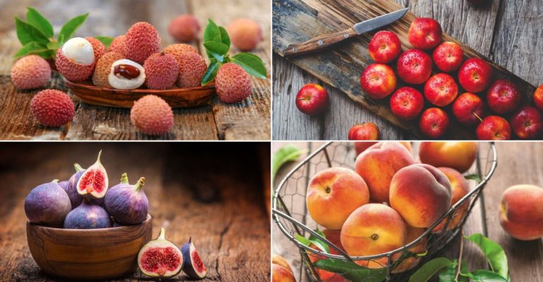 11 Surprisingly Dangerous Fruits for Diabetics and 11 Safer Choices You’ll Love