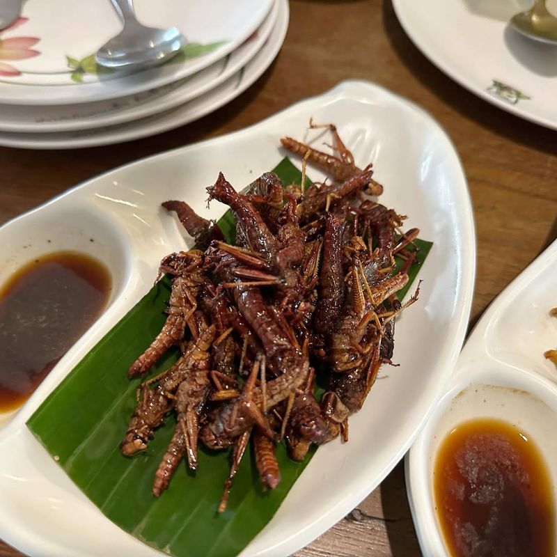 Insects