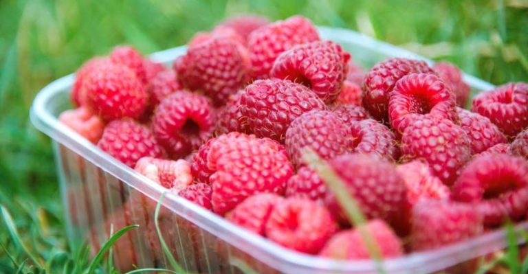 14 Low-Sugar Fruits That Still Taste Like Dessert