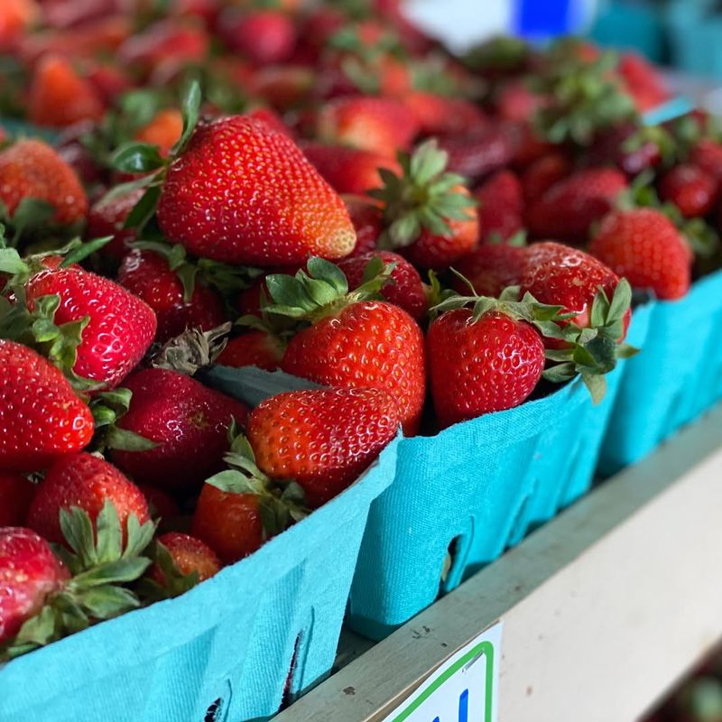 Strawberries