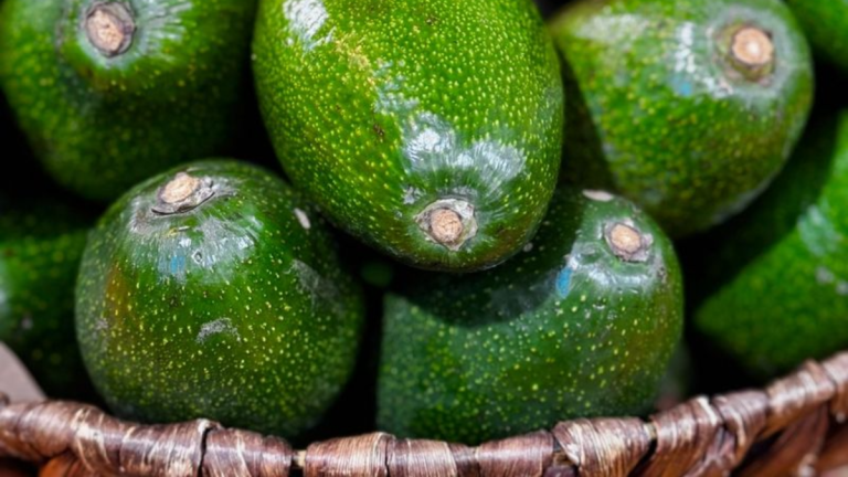 Superfoods That Are Great Natural Sources of Magnesium