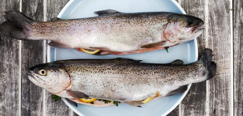 AVOID: High-Mercury Fish