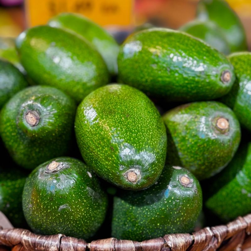 Avocados