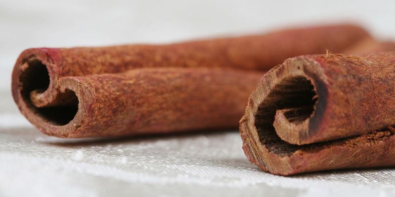 Improves Insulin Sensitivity
