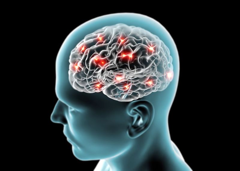 Brain Function