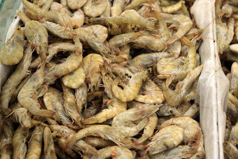 Frozen Shellfish
