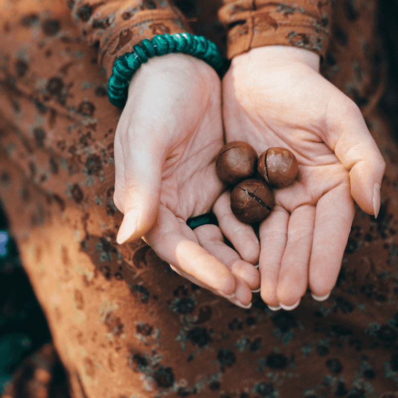 Macadamia Nuts