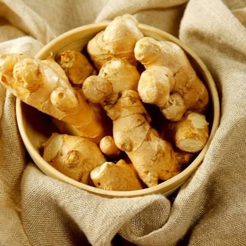Ginger