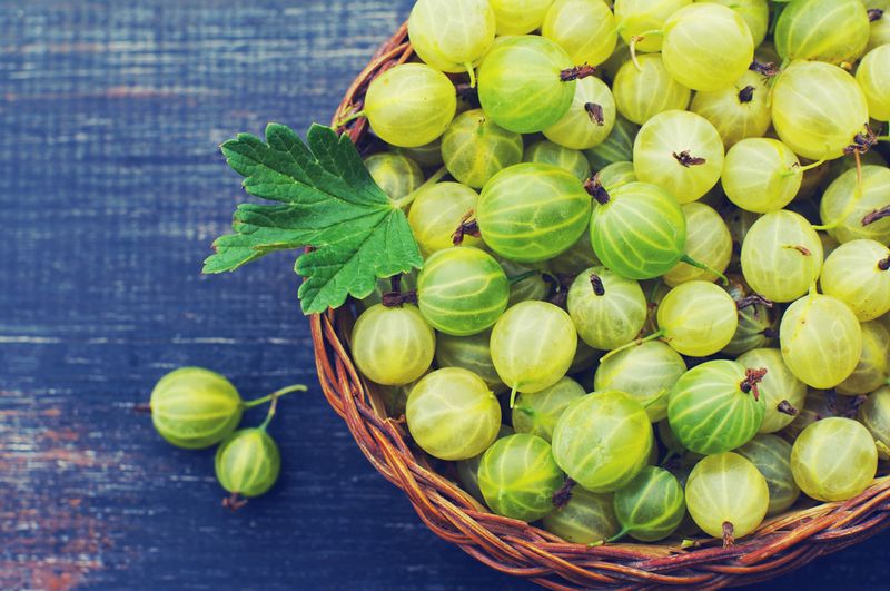 Gooseberries