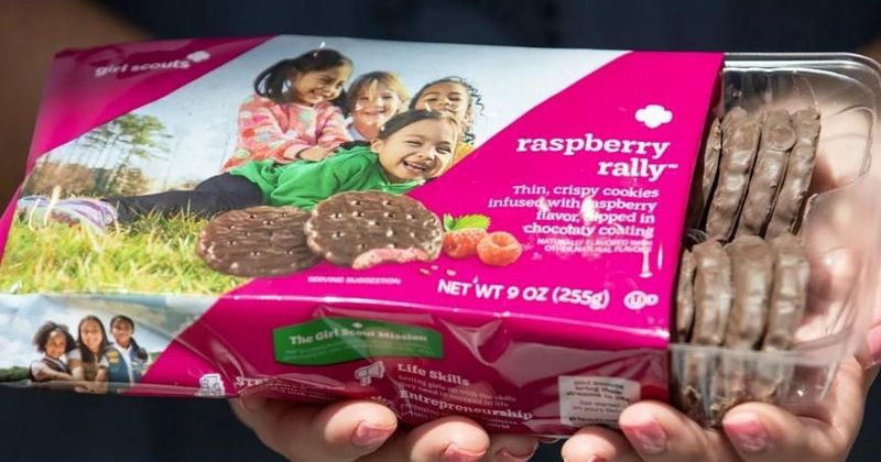 Raspberry Rally Girl Scout Cookies (2024)